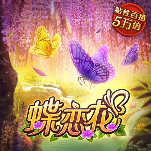 B—sports旧版下载